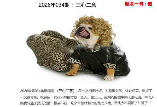 034期幽默猜测[图]