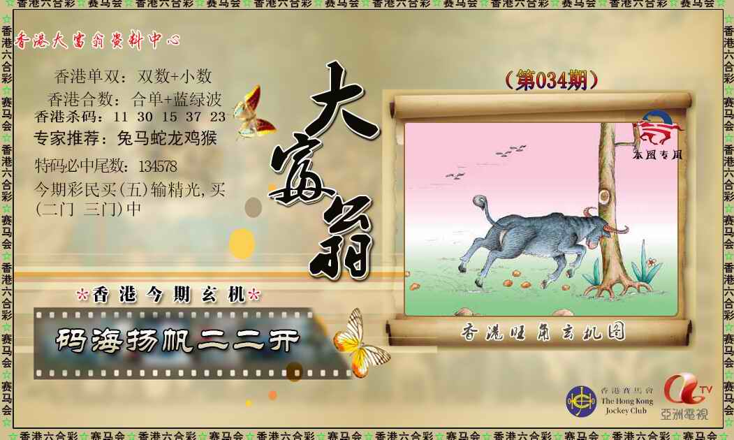 034期新大富翁[图]