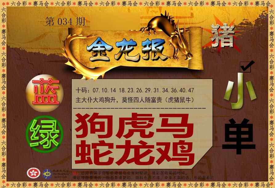 034期金龙报[图]